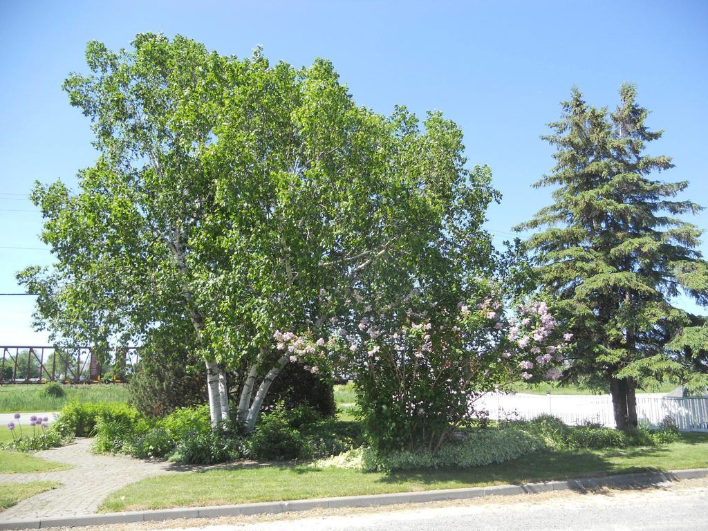 Motel Normandie Louiseville Exterior photo